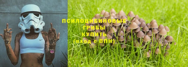 крисы Алзамай