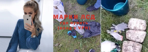 крисы Алзамай