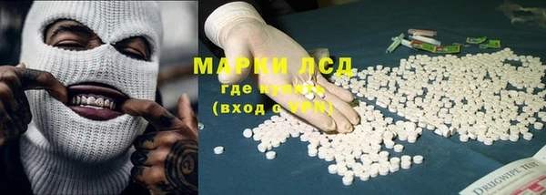 крисы Алзамай