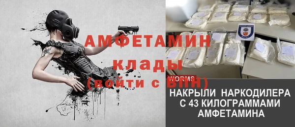 крисы Алзамай