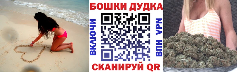 где можно купить   Апшеронск  Бошки марихуана сатива 